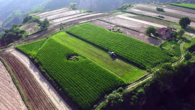 China's intelligent agricultur