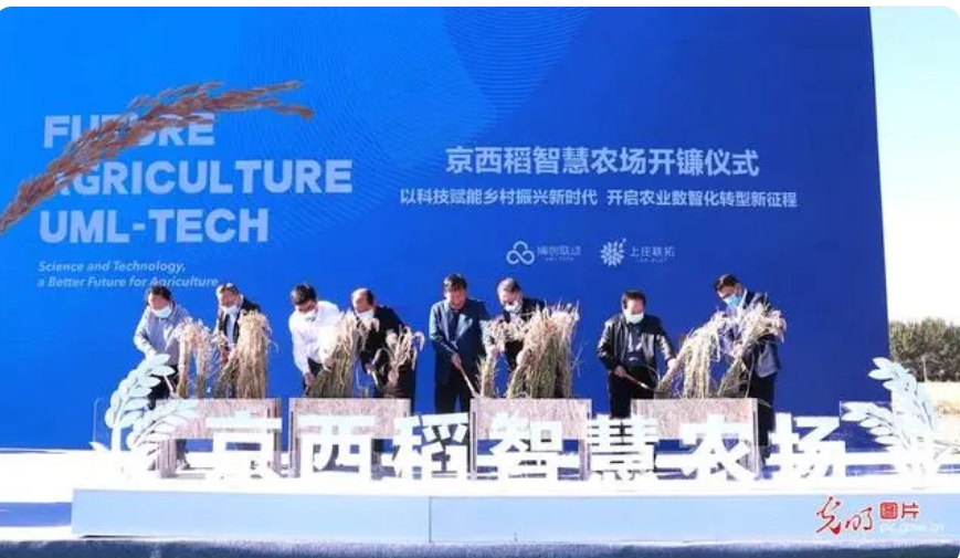京西稻智慧农场开镰仪式在京举行 