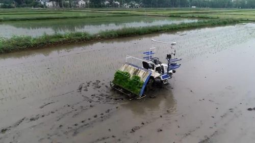“京西稻智慧农场”项目在北京市海淀区上庄镇启动